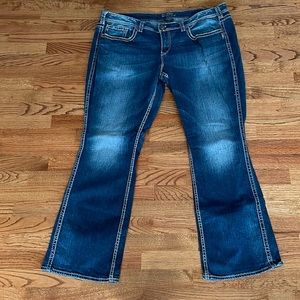 Silver Jeans Plus Size Frances